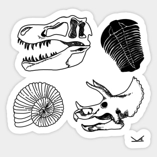 Fossil Frenzy Sticker